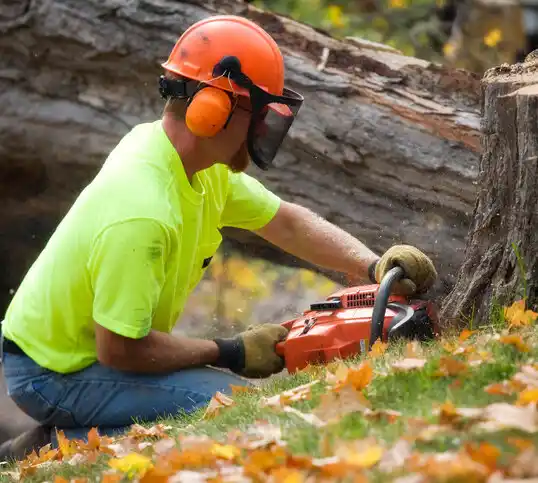 tree services Brownsboro Farm